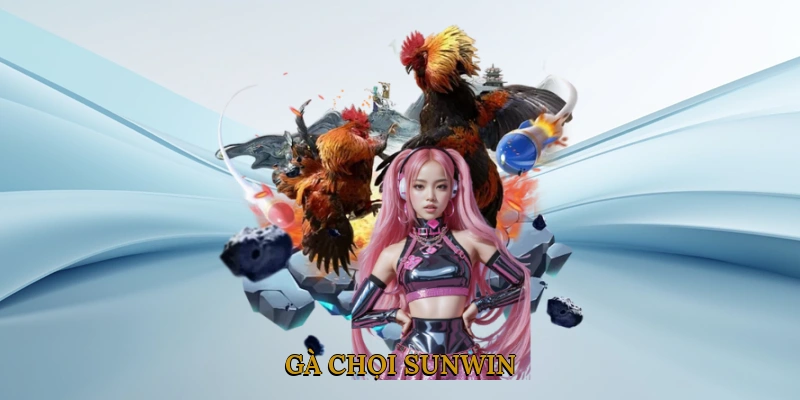 Gà Chọi SUNWIN
