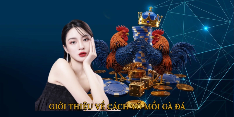 Giới thiệu về cách vô mồi gà đá