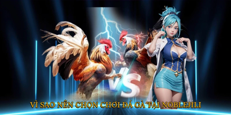 Vì sao nên chọn chơi đá gà tại NOBLEJILI?