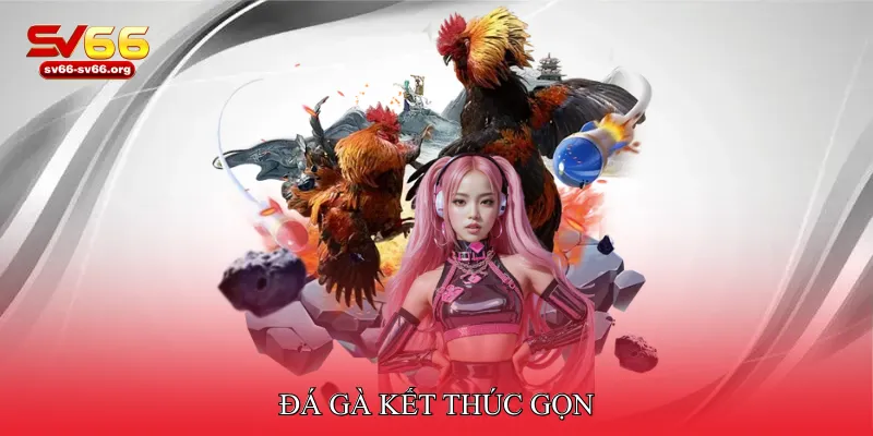 Đá gà kết thúc gọn