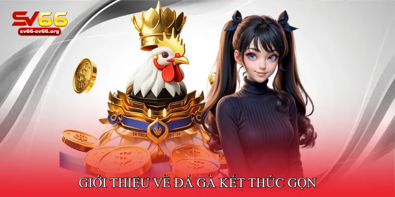 Giới thiệu về đá gà kết thúc gọn