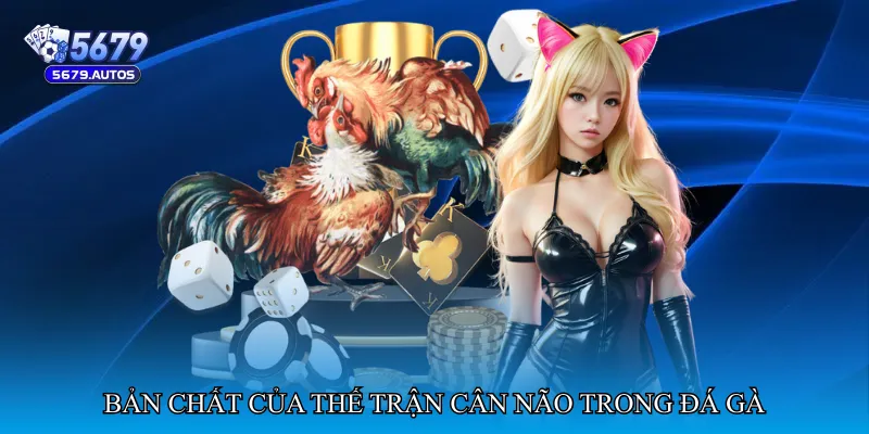 Bản chất của thế trận cân não trong đá gà