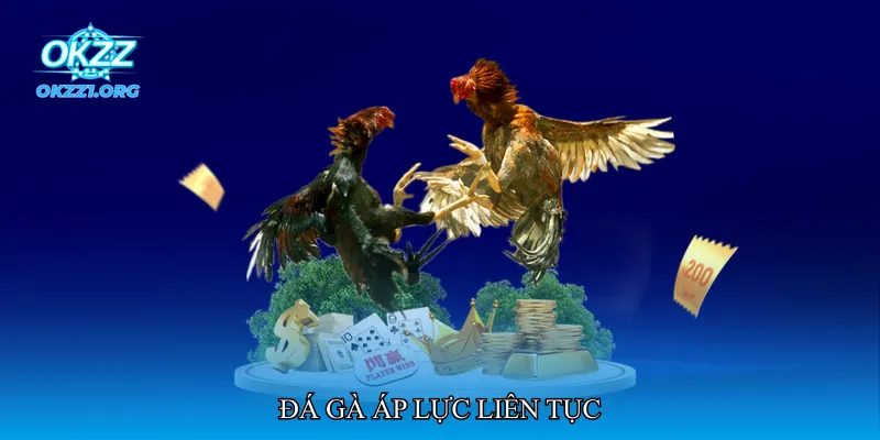 Đá gà áp lực liên tục