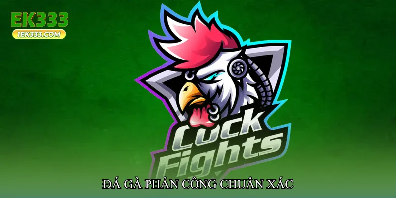 Đá gà phản công chuẩn xác