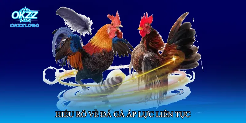 Hiểu rõ về đá gà áp lực liên tục