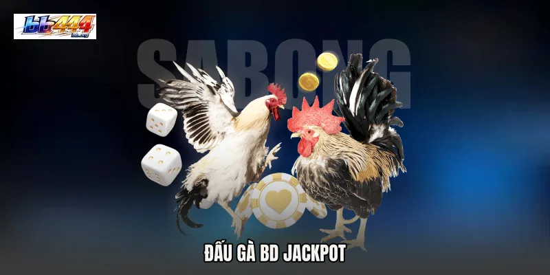 Đấu gà BD jackpot