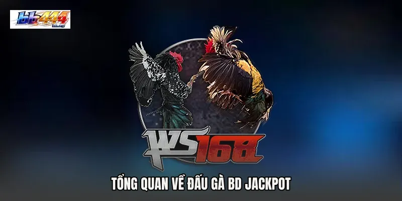 Tổng quan về Đấu gà BD jackpot